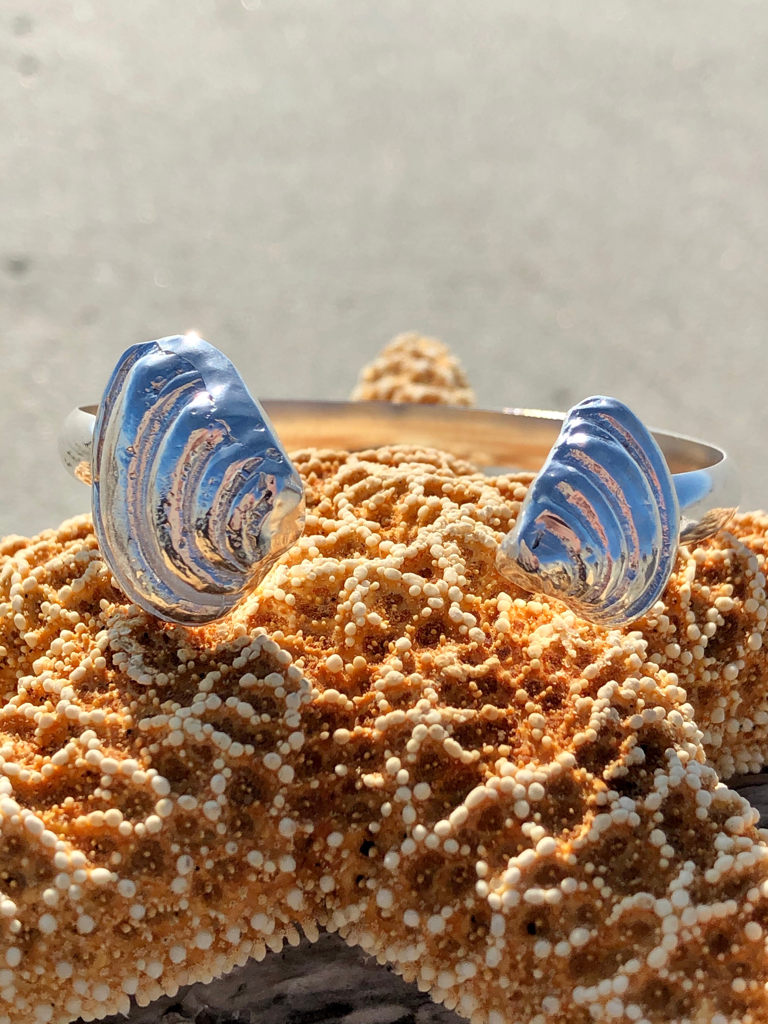 Pawleys Island Venus shell cuff